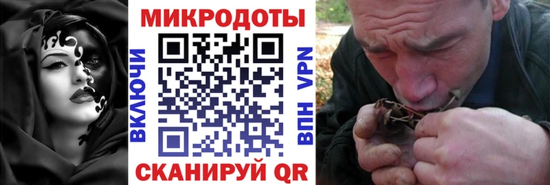 гидра Калининград Галлюциногенные грибы Magic Shrooms