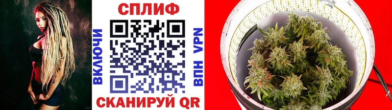 Бошки Шишки сатива Калининград